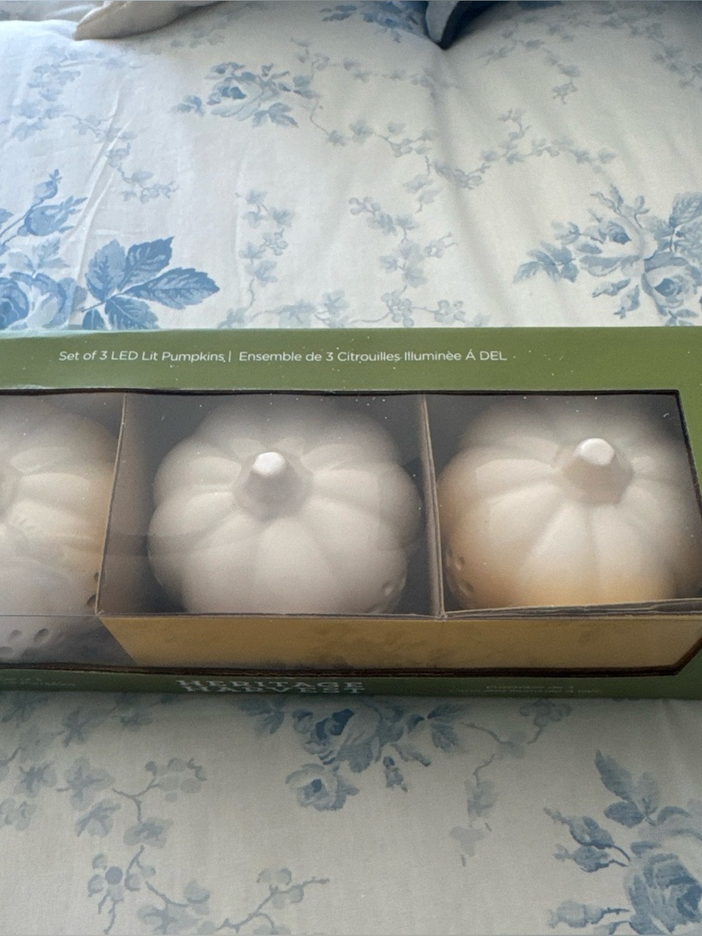 LED Ceramic Pumpkin Lanterns - White (Set of 3)